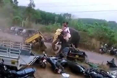 Voi nổi giận đập phá xe cộ trong lễ hội