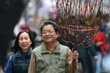 Có con gái lấy chồng xa, nỗi buồn ngày Tết cha mẹ không dám kể