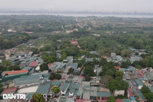 Đất bãi bồi khai hoang có được cấp sổ đỏ?