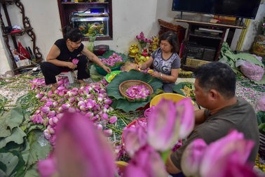 Đệ nhất trà Hà Nội: Làm từ 1000 bông sen, bán giá đắt như vàng
