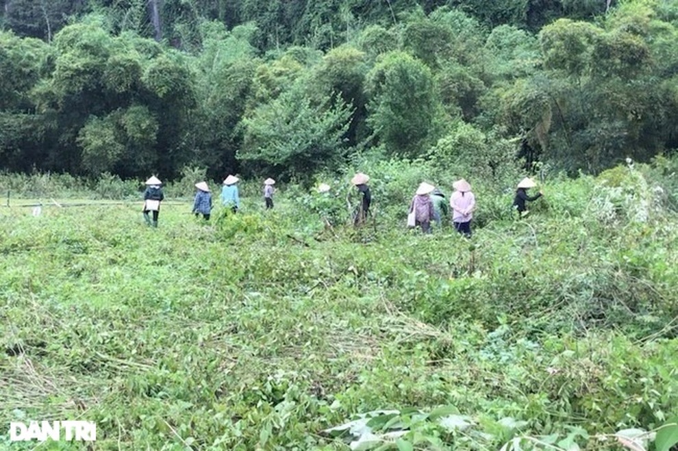 Khởi tố vụ án một hộ dân bị hàng xóm hủy hoại tài sản - 1 Khởi tố vụ án một hộ dân bị hàng xóm hủy hoại tài sản - 1