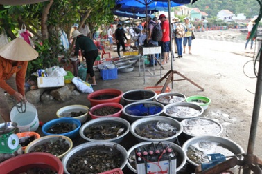 Chợ hải sản ăn liền giữa biển độc nhất Việt Nam