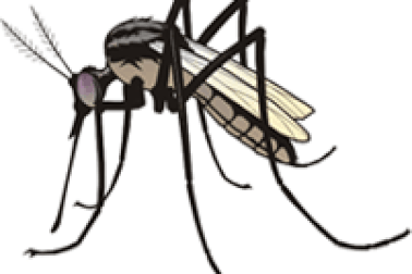 Khó chịu vì trời nồm