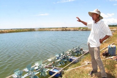 Đề nghị cách chức Chủ tịch Hội Nông dân nuôi tôm trái phép