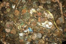 Bất ngờ đào được "kho báu" trong giếng khô bỏ không