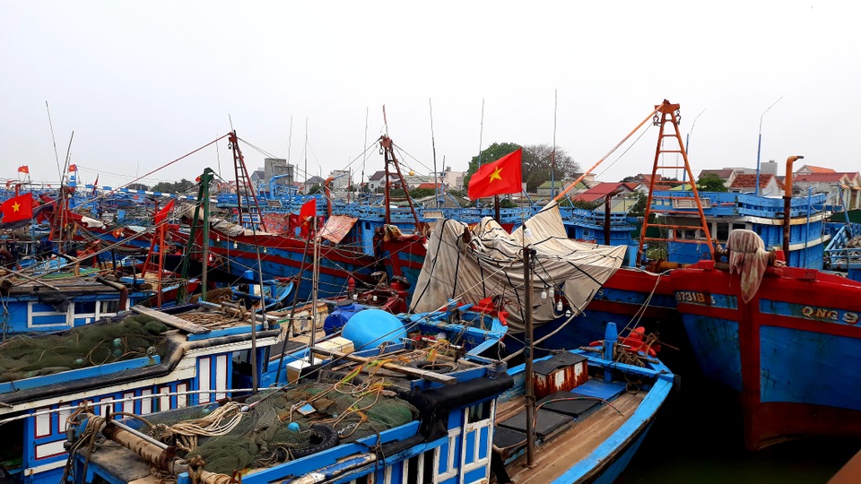 Hàng ngàn tàu cá có nguy cơ không được xuất bến - 1 Hàng ngàn tàu cá có nguy cơ không được xuất bến - 1