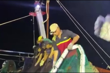 Đoạn video do Anh Tuấn ghi lại hoạt động đánh bắt trên biển của ngư dân