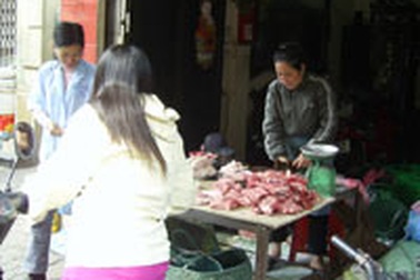 Liên cầu lợn không lây từ người sang người