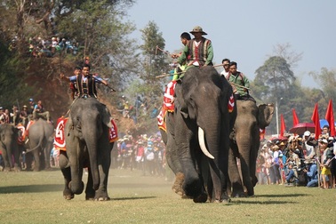 SGK viết sai về Hội đua voi ở Tây Nguyên: Nhà nghiên cứu văn hóa bức xúc