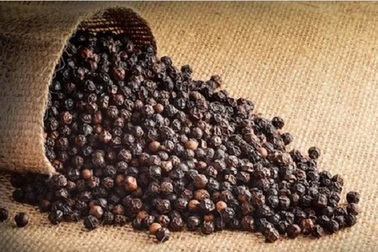 Cảnh báo liên quan đến hồ tiêu xuất khẩu sang Đài Loan (Trung Quốc)