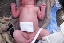 Bé trai sơ sinh bị bỏ rơi trong bụi hoa giấy