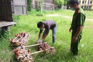 Liên tiếp bắt giữ nhiều vụ vận chuyển hàng nhập lậu