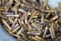 Hỏng bình oxy khi đang lặn mò ốc móng tay, một người mất tích