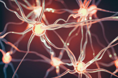 Đã tìm ra chìa khóa để ngăn ngừa bệnh Parkinson?