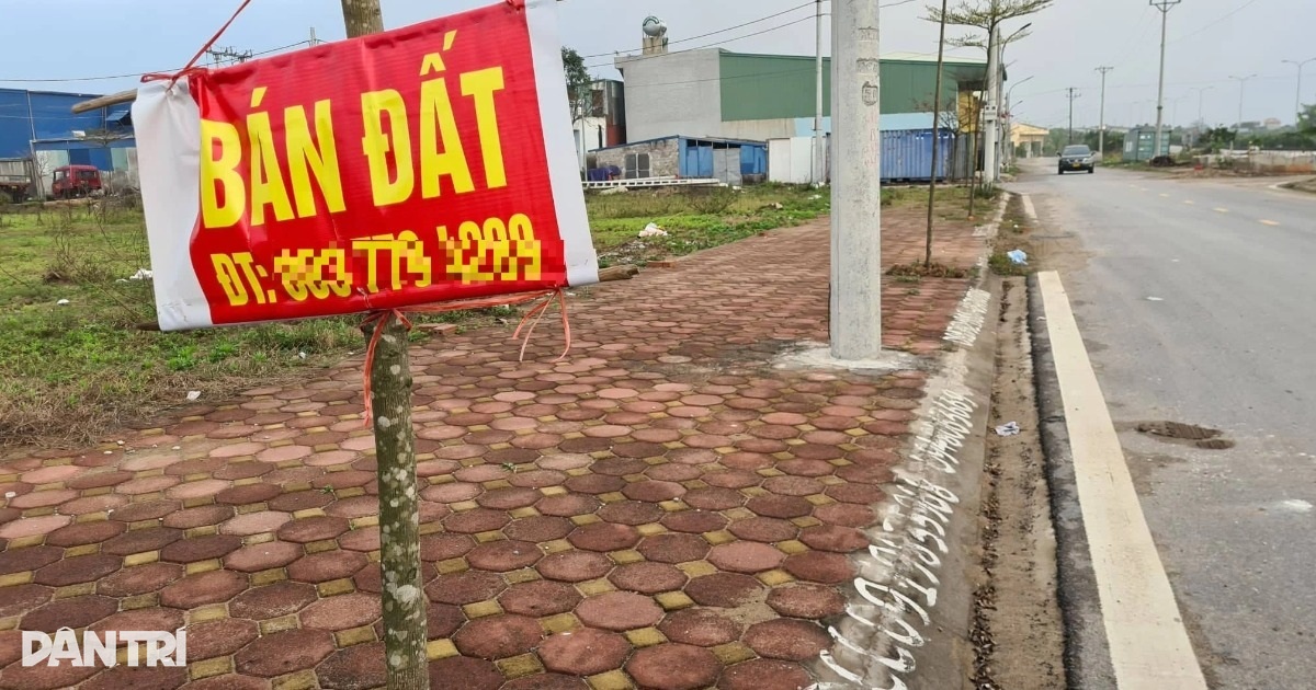 Který segment nemovitostí má letos největší nárůst nebo pokles cen? - 1 Phân khúc bất động sản nào tăng giá, giảm giá mạnh nhất năm nay? - 1