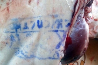 Lật tẩy “chiêu” đóng dấu kiểm soát thú y giả lên hơn 30 kg thịt lợn