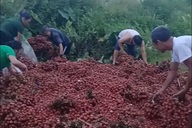 Vụ ô tô chở 4 tấn vải bị lật: Người dân chuyển 40 triệu đồng cho chủ xe