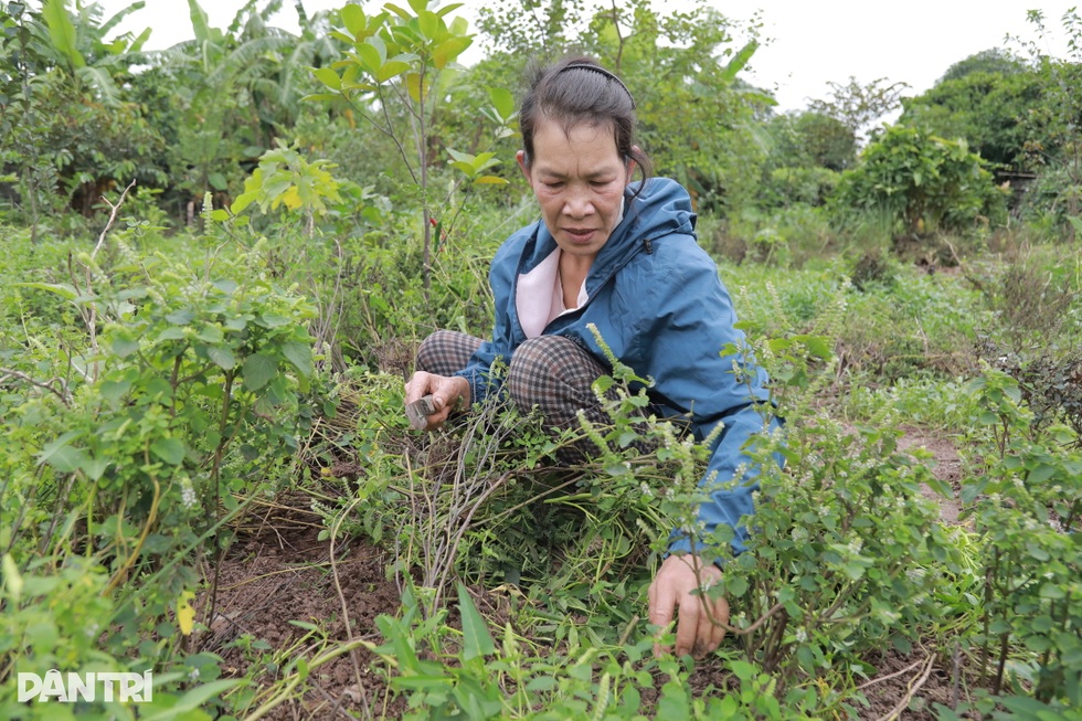 Vợ chồng ở Hà Nội tặng mẹ con nghèo 50m2 đất: Nhiều người nói gia đình điên - 2