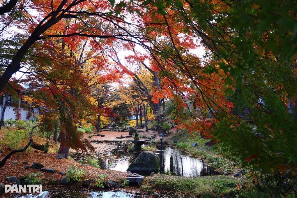 Nhật Bản mở lại du lịch từ Việt Nam - 1