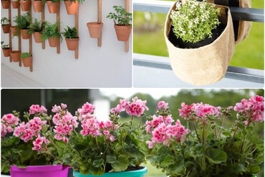 Những lưu ý khi tạo không gian xanh cho nhà phố