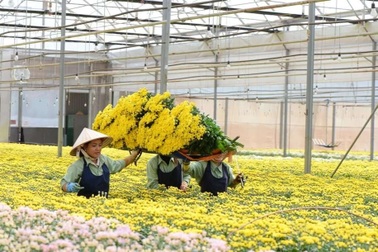 Công ty hoa tại Đà Lạt chi hơn 4.500 tỷ đồng thâu tóm tập đoàn Australia