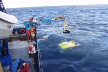 Loài tôm "bất tử", luộc bao lâu cũng không chết