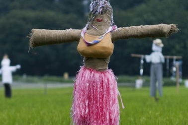 Chùm ảnh vui: Bù nhìn cũng làm điệu