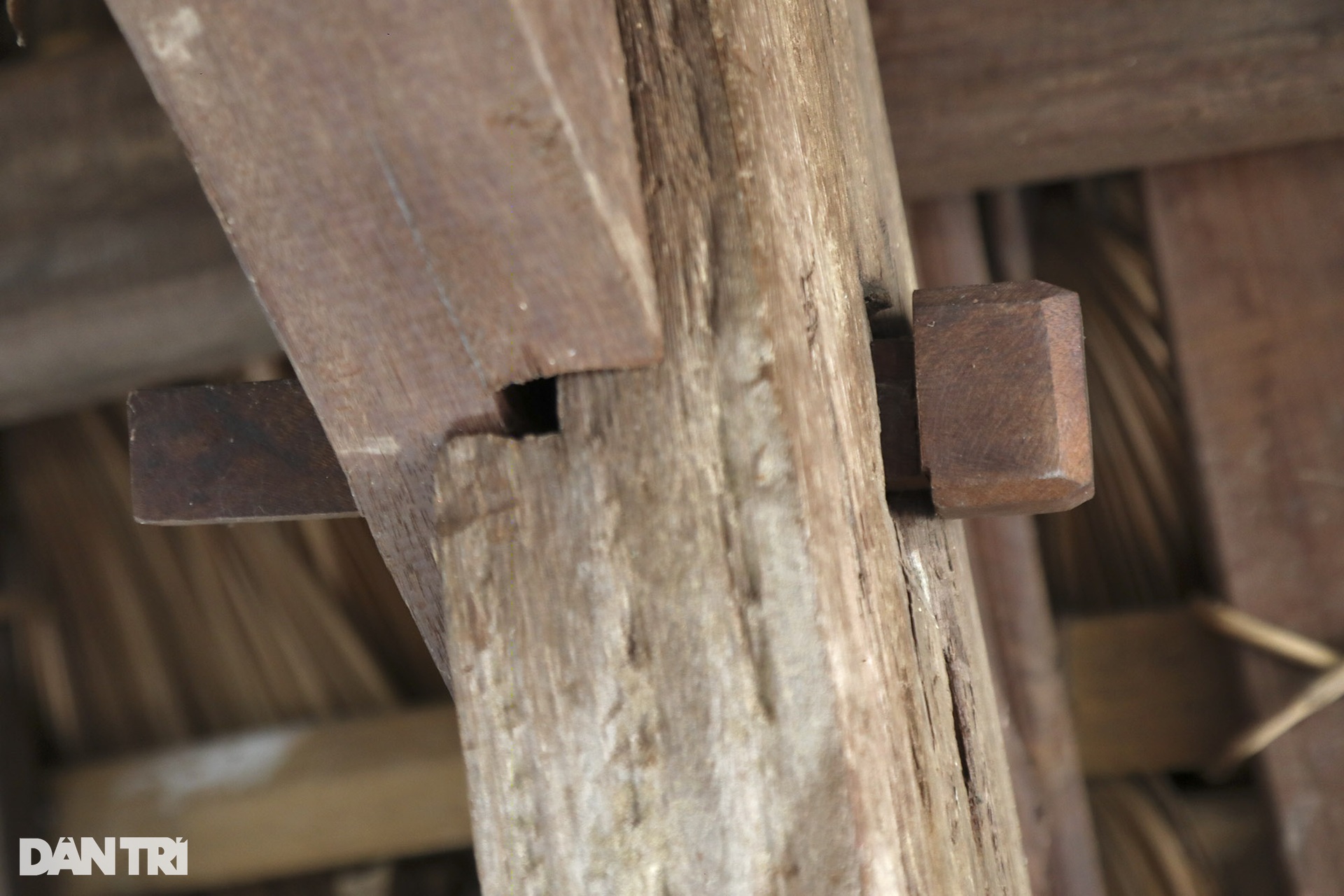 Cầu gỗ hơn 100 năm tuổi không dùng đinh, lợp mái cọ duy nhất miền Bắc - 6 Cầu gỗ hơn 100 năm tuổi không dùng đinh, lợp mái cọ duy nhất miền Bắc - 6
