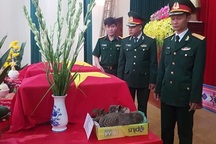 Đội trinh sát đặc biệt kể hành trình tìm kiếm hài cốt phi công rơi máy bay ở Tam Đảo