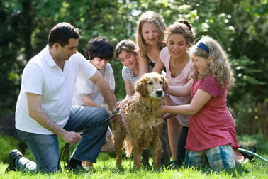Nhiều phụ huynh Mỹ chụp ảnh con ít hơn cả chụp... thú cưng
