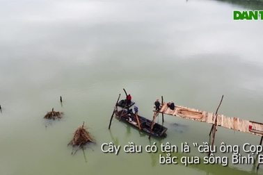 Xây cầu gỗ vượt sông Bình Bá