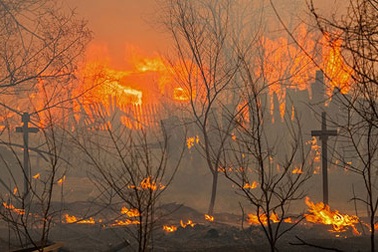  Rừng Siberia chìm trong biển lửa