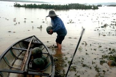 Quảng Nam, Quảng Ngãi thiệt hại gần 200 tỉ đồng vì mưa lũ bất thường