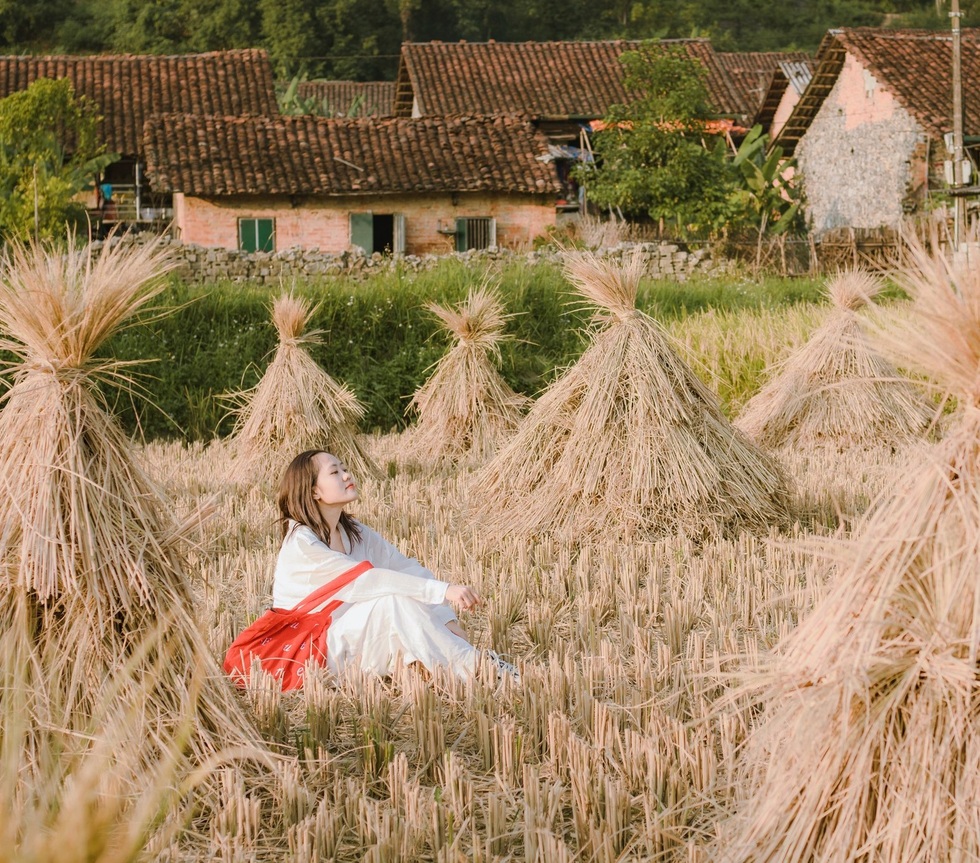 Cô gái bỏ việc rong ruổi từ Bắc vào Nam, mỗi nơi sống thử vài tháng - 6 Cô gái bỏ việc rong ruổi từ Bắc vào Nam, mỗi nơi sống thử vài tháng - 6