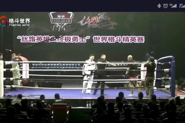 Cao thủ Thái Cực lại bại trận trước võ sĩ taekwondo