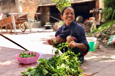 Kiếm tiền bằng cách làm Vlog như bà Tân có nhanh giàu?