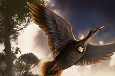 Lần đầu tiên phát hiện hóa thạch chim cổ thời Đại Trung sinh