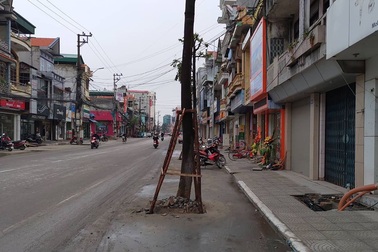 Lạ lùng hàng trăm cây xanh mọc dưới... lòng đường