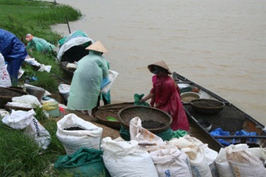 Khẩn trương cứu tàu cá bị trôi dạt ở biển Đà Nẵng