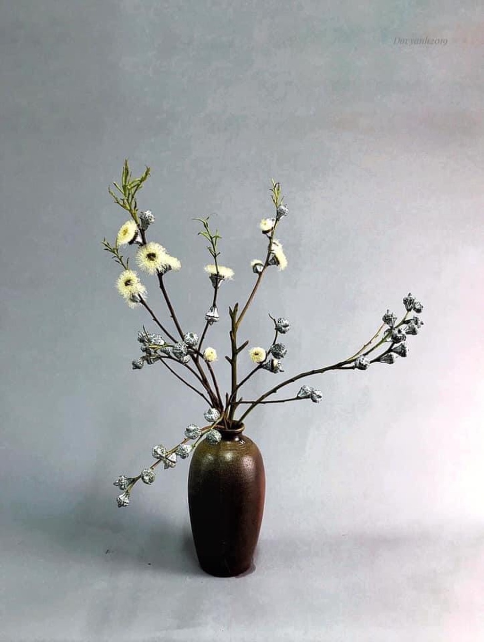 Mẹ đảm thích thú săn tìm cành bạch đàn non, cherry về cắm trang trí - 7 Mẹ đảm thích thú săn tìm cành bạch đàn non, cherry về cắm trang trí - 7