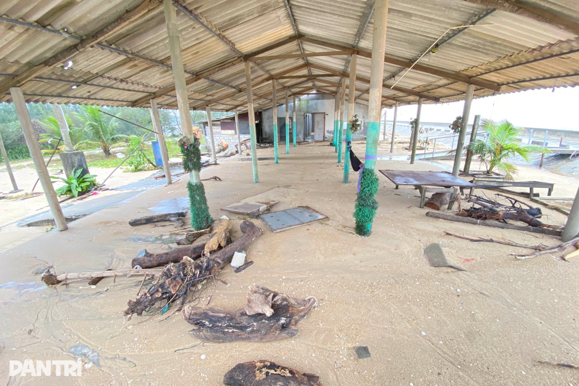 Rừng phòng hộ biến mất, sóng biển đe dọa khu dân cư - 10