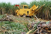 Mía đường cần cuộc cách mạng