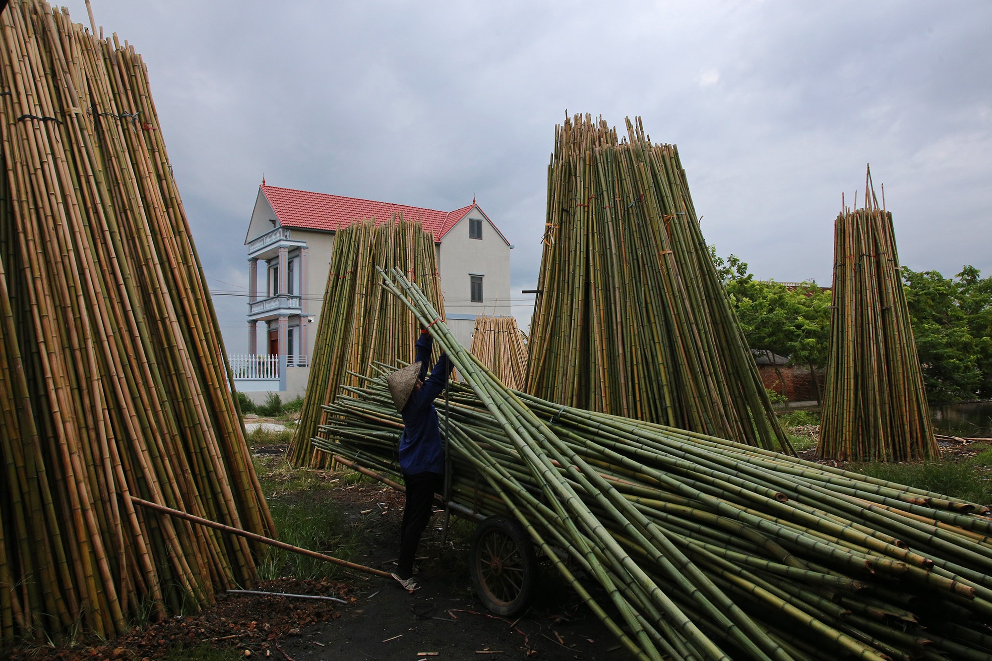 Những phụ nữ làm nghề quanh năm ngâm mình trong nước - 8