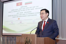 Nâng cao hiệu quả hợp tác Việt Nam-Bulgaria trên tất cả các kênh