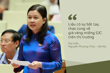 Những câu hỏi "chất" trong phiên chất vấn Bộ trưởng Tài chính, Thống đốc