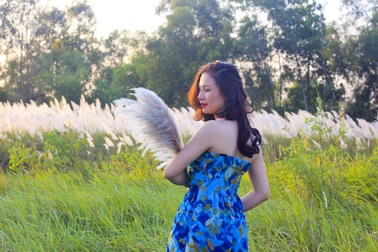 Đã mắt bãi cỏ lau giữa đô thị biển Cửa Lò