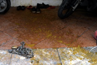 Hoang mang vì bị “khủng bố” bằng phân giữa thủ đô