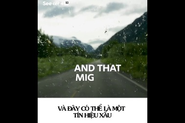 Việc ngày càng ít côn trùng va vào kính chắn gió ô tô là tín hiệu xấu với trái đất!