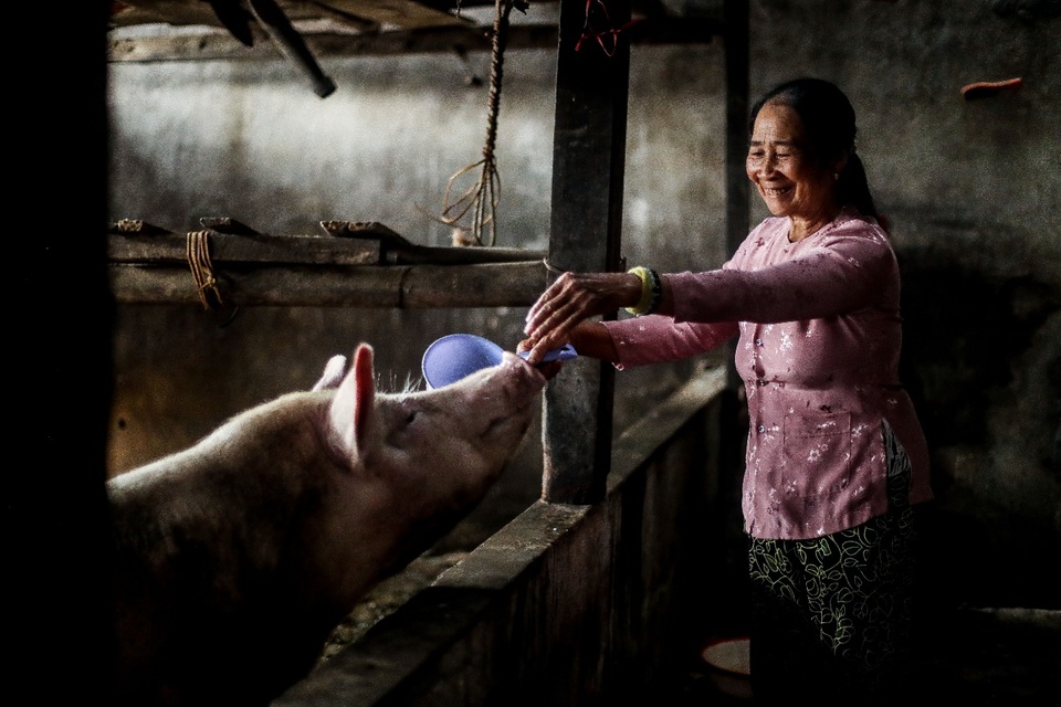 Tết diệu kỳ có ghé qua đây? - 1 Tết diệu kỳ có ghé qua đây? - 1