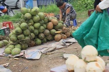 Thực phẩm bẩn tràn lan, nhiều địa phương chưa mặn mà vào cuộc